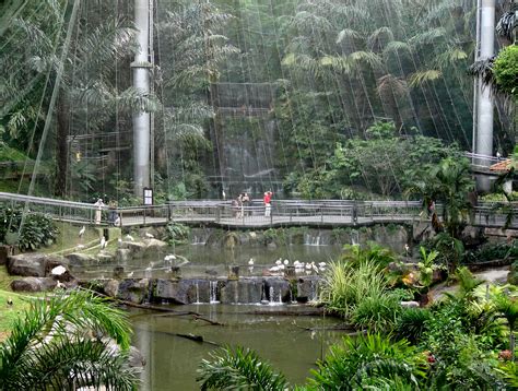  Kuala Lumpur Bird Park - Oaza Ptaków i Zapach Tropikalnej Dżungli!